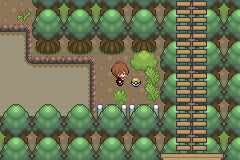 Pokemon Unbound Version - GBA