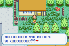 Pokemon Marble - GBA-D