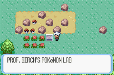 Pokemon Snakewood - GBA