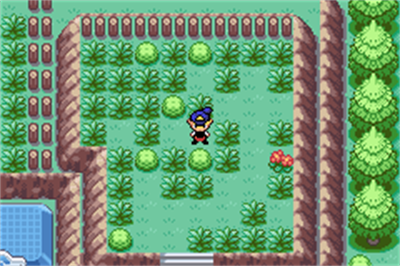 Pokemon Hollow Mysteries - GBA-D